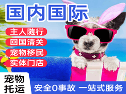 吴川航空运输国际宠物托运 【国